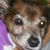 Ramona Garnatz's profile image