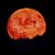 Lisa Deal's profile image