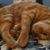 Wanda Lewis's profile image