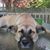 Christine Joyce's profile image