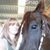 Kim Feitshans's profile image