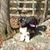 Sue ONeill's profile image