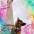 Evelyn Cato's profile image