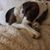 Linda Lender's profile image