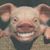 Bill Phillips's profile image