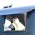 Michael Moran's profile image