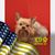 Jeffrey Hsia's profile image