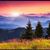 Jessica Ownby's profile image