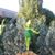 Melissa Harting's profile image