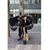 Lori Lindsay's profile image