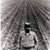 Lee Curby's profile image