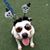 Kelly May Sullivan-Willett's profile image