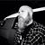 Rob Brown's profile image