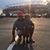 Rudy Godoy's profile image
