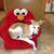 Debbie Terrill-Williams's profile image