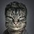 Phillip Rogers's profile image