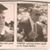 Frank L. Mellaci's profile image