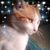 Deb Hadley's profile image