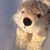Jan Montecalvo's profile image