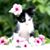 Kely Rosip Sands's profile image