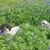 Cathy Edens's profile image
