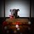 Cheryl Ann Barton Justice's profile image