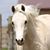 Kim Zold-Lintner's profile image