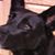 Leslie Steinberg Rand's profile image