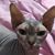 Beverly Anderson's profile image