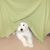Michan Rule's profile image