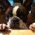 Gene McCardle's profile image