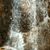 Steve R. Wardy's profile image