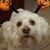 Jon Ferreira's profile image