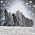 Dawn Santangelo's profile image