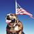 Daniel Fragoso's profile image