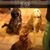Teri Wieder Glassman's profile image