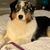 Janette Nieman Bower's profile image