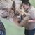 Trisha Cotnam's profile image