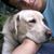 Felipe Maza's profile image