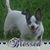 Judy Jones's profile image