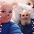 Silver Geyer's profile image