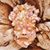 Jennifer Rieke Johnson's profile image