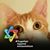 Saul Friedman's profile image