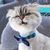 Dustin Parker's profile image