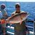 Terry Whatley's profile image