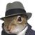 Stephen Gerald O'Briant's profile image