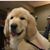 David Hendrickson's profile image