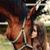 Colette LaCasa's profile image