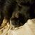 Nicole Smith's profile image
