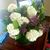 Vickie Pierce Harmon's profile image